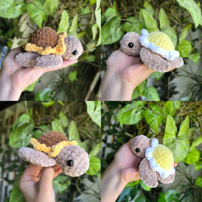 Mini sunflower and daisy turtle 15cm x 15cm amigurumi plushie